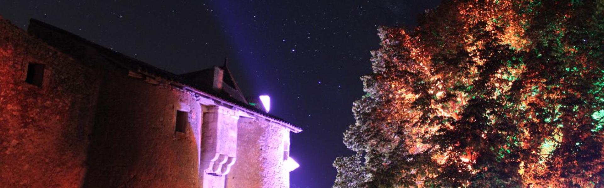 Une vue de nuit du château éclairé de lumière d'ambiance avec des étoiles.