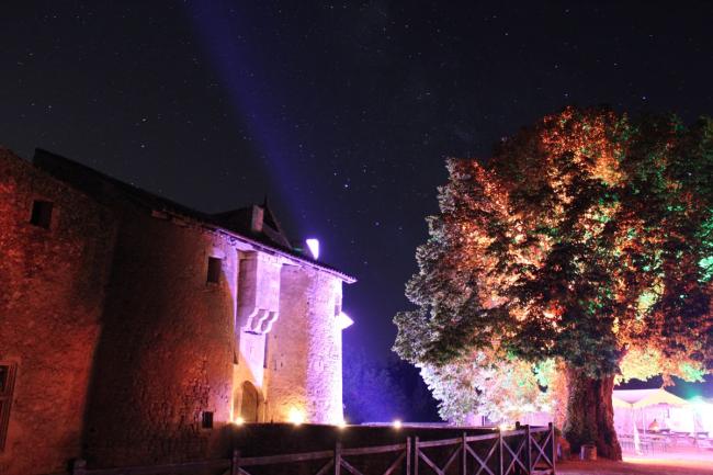 Château de chiré la nuit