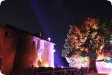 Une vue de nuit du château éclairé de lumière d'ambiance avec des étoiles.