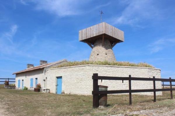 Une photo du moulin cavier de Chouppes.